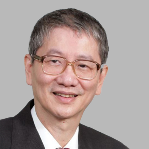 Prof Tan Lee Meng